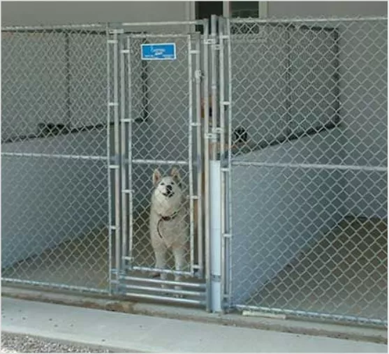 Dog Kennel Mansory Image