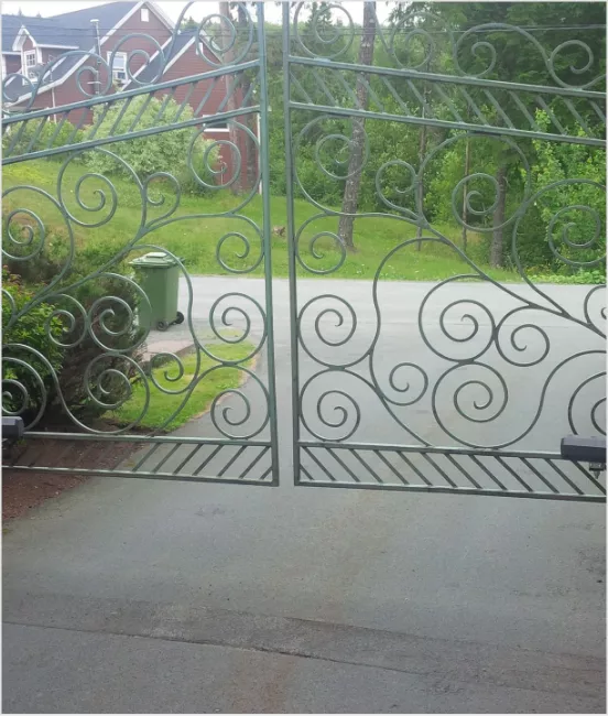 Security Gates and Access Controls Mansory Image