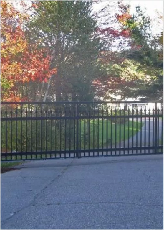 Security Gates and Access Controls Mansory Image
